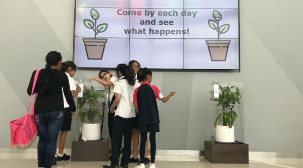 Chiến dịch chống bạo lực học đường của IKEA: Cho học sinh mắng chửi cây xanh trong 1 tháng và theo dõi kết quả Chiến dịch chống bạo lực học đường của IKEA: Cho học sinh mắng chửi cây xanh trong 1 tháng và theo dõi kết quả