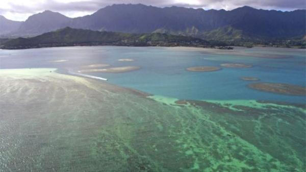 Hawaii cấm bán kem chống nắng cho khách du lịch vì lí do lạ lùng này Hawaii cấm bán kem chống nắng cho khách du lịch vì lí do lạ lùng này