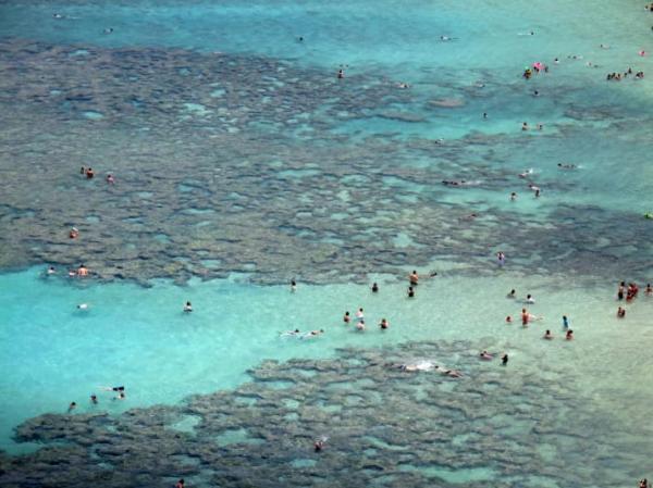 Hawaii cấm bán kem chống nắng cho khách du lịch vì lí do lạ lùng này Hawaii cấm bán kem chống nắng cho khách du lịch vì lí do lạ lùng này