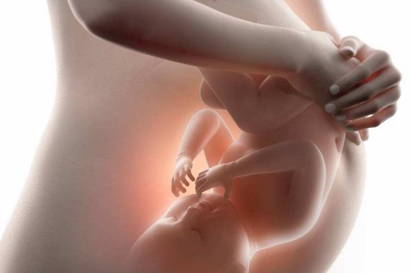 5 điều thai nhi thích làm nhất khi còn ở trong bụng mẹ 5 điều thai nhi thích làm nhất khi còn ở trong bụng mẹ