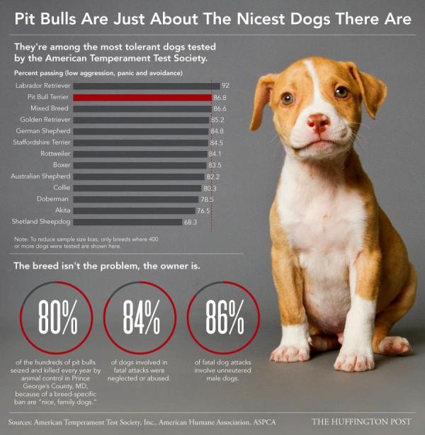 PETA - Kẻ đạo đức giả đằng sau những thông điệp nhân đạo? (Kỳ 2) PETA - Kẻ đạo đức giả đằng sau những thông điệp nhân đạo? (Kỳ 2)