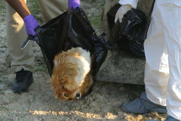 PETA - Kẻ đạo đức giả đằng sau những thông điệp nhân đạo? (Kỳ 2) PETA - Kẻ đạo đức giả đằng sau những thông điệp nhân đạo? (Kỳ 2)