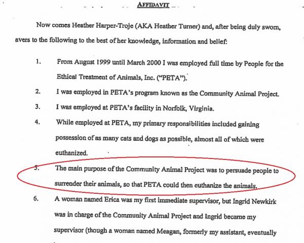 PETA - Kẻ đạo đức giả đằng sau những thông điệp nhân đạo? (Kỳ 2) PETA - Kẻ đạo đức giả đằng sau những thông điệp nhân đạo? (Kỳ 2)