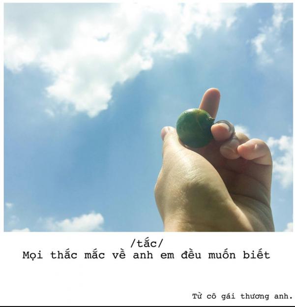 'Quăng thính' bằng trái cây chính là phương pháp thoát ế mới nhất dành cho chị em 'Quăng thính' bằng trái cây chính là phương pháp thoát ế mới nhất dành cho chị em