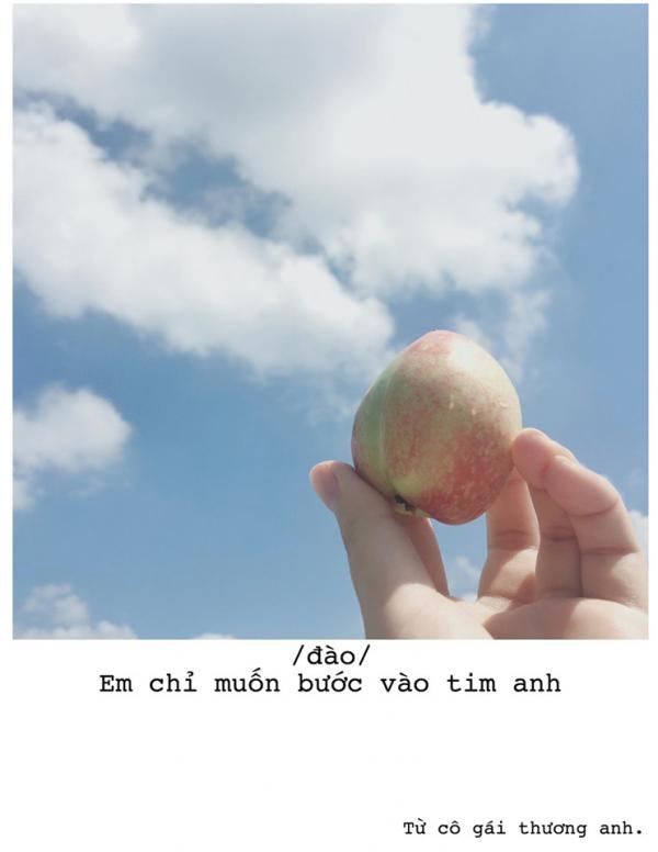 'Quăng thính' bằng trái cây chính là phương pháp thoát ế mới nhất dành cho chị em 'Quăng thính' bằng trái cây chính là phương pháp thoát ế mới nhất dành cho chị em
