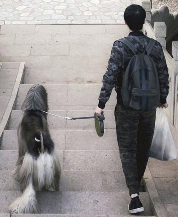 Chủ nhân chi hàng trăm triệu đồng để chó cưng có bộ lông mượt mà như tóc người Chủ nhân chi hàng trăm triệu đồng để chó cưng có bộ lông mượt mà như tóc người