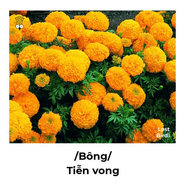 Loạt ảnh 'né thính' siêu cấp cục súc nhưng vẫn vô cùng tinh tế Loạt ảnh 'né thính' siêu cấp cục súc nhưng vẫn vô cùng tinh tế