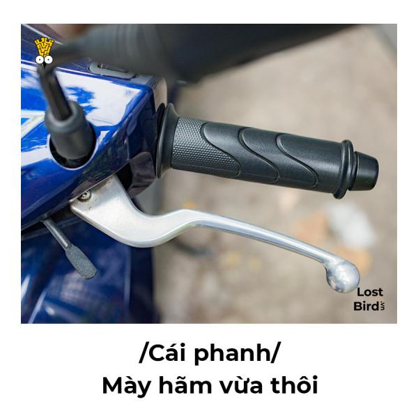Loạt ảnh 'né thính' siêu cấp cục súc nhưng vẫn vô cùng tinh tế Loạt ảnh 'né thính' siêu cấp cục súc nhưng vẫn vô cùng tinh tế