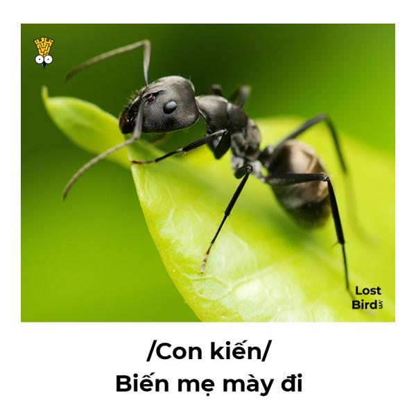 Loạt ảnh 'né thính' siêu cấp cục súc nhưng vẫn vô cùng tinh tế Loạt ảnh 'né thính' siêu cấp cục súc nhưng vẫn vô cùng tinh tế