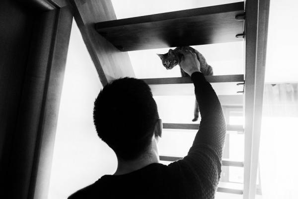 Người đàn ông em yêu có những lúc yếu đuối không ngờ khi ở bên mèo cưng Người đàn ông em yêu có những lúc yếu đuối không ngờ khi ở bên mèo cưng