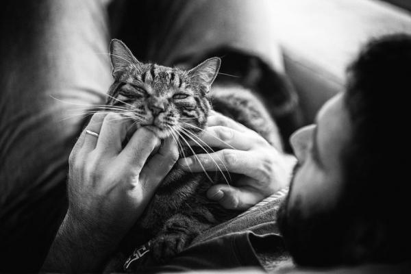 Người đàn ông em yêu có những lúc yếu đuối không ngờ khi ở bên mèo cưng Người đàn ông em yêu có những lúc yếu đuối không ngờ khi ở bên mèo cưng