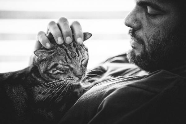 Người đàn ông em yêu có những lúc yếu đuối không ngờ khi ở bên mèo cưng Người đàn ông em yêu có những lúc yếu đuối không ngờ khi ở bên mèo cưng