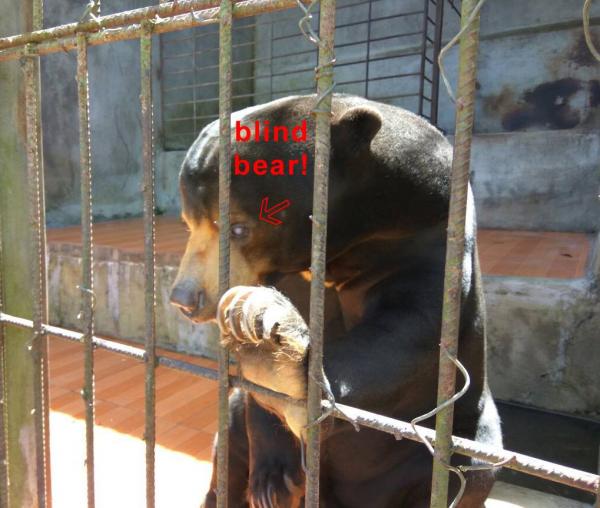 Khu du lịch ở Đà Lạt bị lên án vì lạm dụng động vật để thu hút khách Khu du lịch ở Đà Lạt bị lên án vì lạm dụng động vật để thu hút khách
