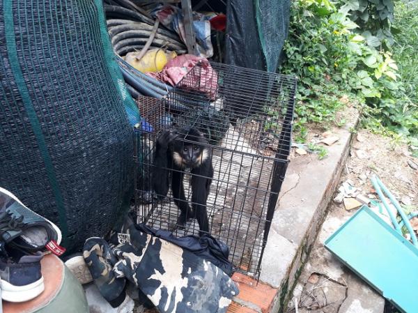 Khu du lịch ở Đà Lạt bị lên án vì lạm dụng động vật để thu hút khách Khu du lịch ở Đà Lạt bị lên án vì lạm dụng động vật để thu hút khách