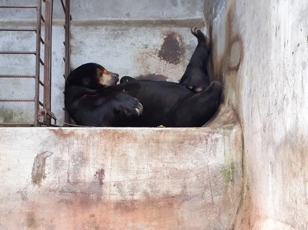 Khu du lịch ở Đà Lạt bị lên án vì lạm dụng động vật để thu hút khách Khu du lịch ở Đà Lạt bị lên án vì lạm dụng động vật để thu hút khách