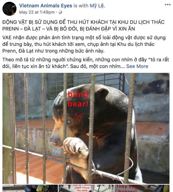 Khu du lịch ở Đà Lạt bị lên án vì lạm dụng động vật để thu hút khách Khu du lịch ở Đà Lạt bị lên án vì lạm dụng động vật để thu hút khách