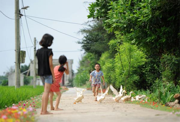 Những con đường không giá trị nghìn tỷ nhưng lại đẹp như tranh ở làng quê Việt Nam Những con đường không giá trị nghìn tỷ nhưng lại đẹp như tranh ở làng quê Việt Nam