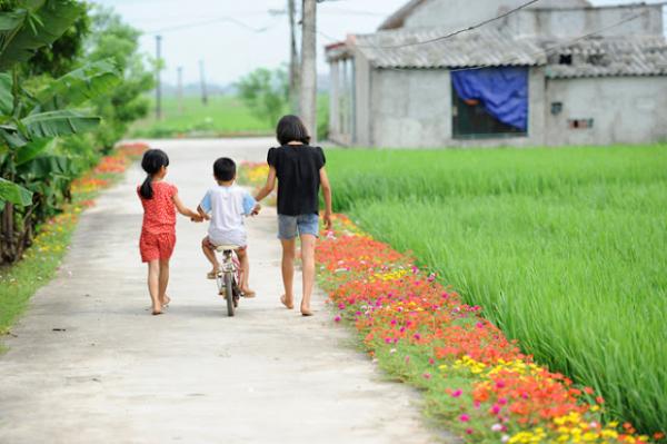 Những con đường không giá trị nghìn tỷ nhưng lại đẹp như tranh ở làng quê Việt Nam Những con đường không giá trị nghìn tỷ nhưng lại đẹp như tranh ở làng quê Việt Nam