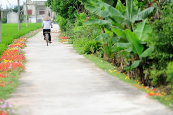 Những con đường không giá trị nghìn tỷ nhưng lại đẹp như tranh ở làng quê Việt Nam Những con đường không giá trị nghìn tỷ nhưng lại đẹp như tranh ở làng quê Việt Nam
