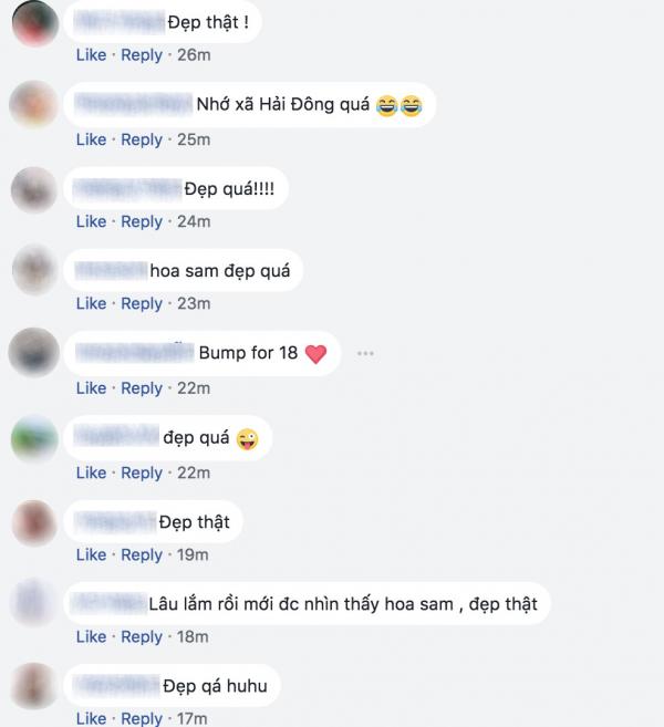 Những con đường không giá trị nghìn tỷ nhưng lại đẹp như tranh ở làng quê Việt Nam Những con đường không giá trị nghìn tỷ nhưng lại đẹp như tranh ở làng quê Việt Nam