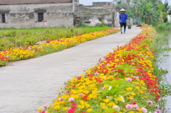 Những con đường không giá trị nghìn tỷ nhưng lại đẹp như tranh ở làng quê Việt Nam Những con đường không giá trị nghìn tỷ nhưng lại đẹp như tranh ở làng quê Việt Nam