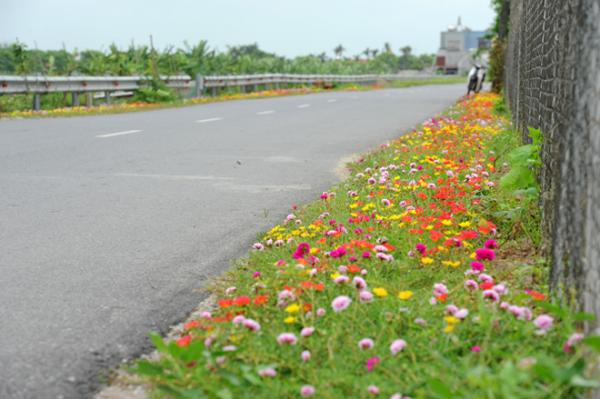 Những con đường không giá trị nghìn tỷ nhưng lại đẹp như tranh ở làng quê Việt Nam Những con đường không giá trị nghìn tỷ nhưng lại đẹp như tranh ở làng quê Việt Nam