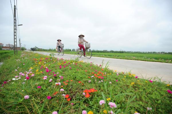 Những con đường không giá trị nghìn tỷ nhưng lại đẹp như tranh ở làng quê Việt Nam Những con đường không giá trị nghìn tỷ nhưng lại đẹp như tranh ở làng quê Việt Nam