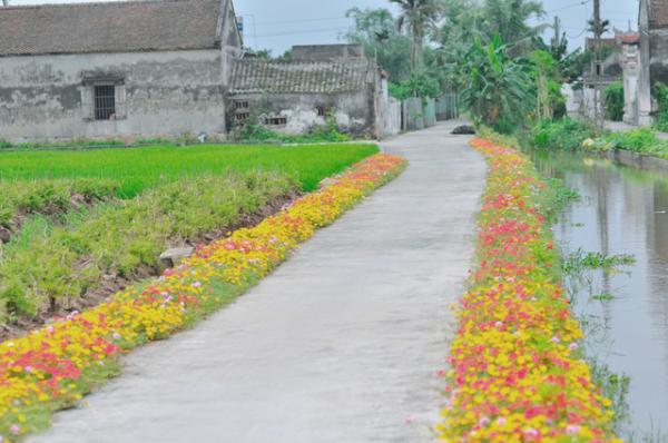 Những con đường không giá trị nghìn tỷ nhưng lại đẹp như tranh ở làng quê Việt Nam Những con đường không giá trị nghìn tỷ nhưng lại đẹp như tranh ở làng quê Việt Nam