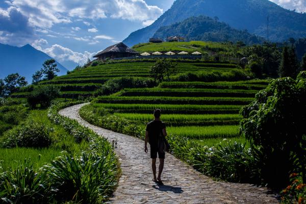 Vì đất nước mình còn lạ, chẳng cần đi đâu xa: Khám phá khu nghỉ dưỡng có một không hai trong Vườn quốc gia Hoàng Liên Vì đất nước mình còn lạ, chẳng cần đi đâu xa: Khám phá khu nghỉ dưỡng có một không hai trong Vườn quốc gia Hoàng Liên