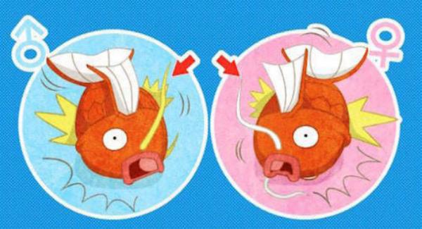 Hoá ra các Pokémon cũng được phân ra 'trai' và 'gái' cơ đấy Hoá ra các Pokémon cũng được phân ra 'trai' và 'gái' cơ đấy