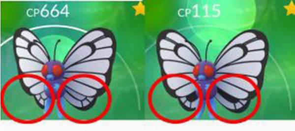 Hoá ra các Pokémon cũng được phân ra 'trai' và 'gái' cơ đấy Hoá ra các Pokémon cũng được phân ra 'trai' và 'gái' cơ đấy
