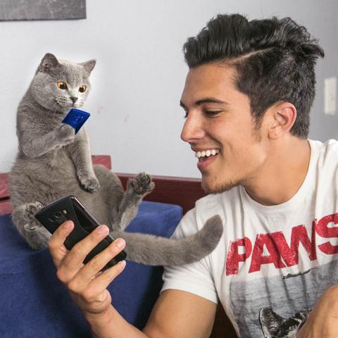 Khi các boss mèo cũng có thể trở thành Hot Youtuber! Khi các boss mèo cũng có thể trở thành Hot Youtuber!