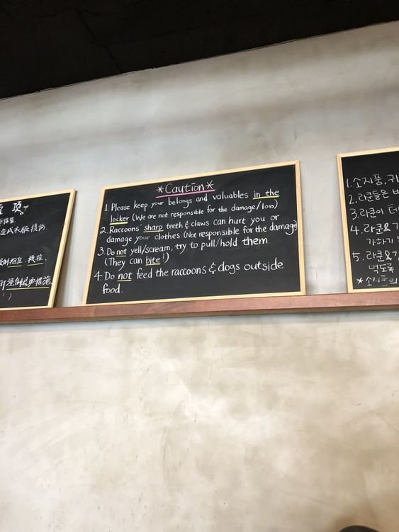 Ngoài cà phê mèo, cà phê chó, giờ ta có cả cà phê... gấu mèo Ngoài cà phê mèo, cà phê chó, giờ ta có cả cà phê... gấu mèo