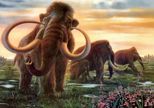 10 kiến thức nhỏ nhặt nhưng có thể giúp bạn 'ra oai' trước mặt bạn bè 10 kiến thức nhỏ nhặt nhưng có thể giúp bạn 'ra oai' trước mặt bạn bè