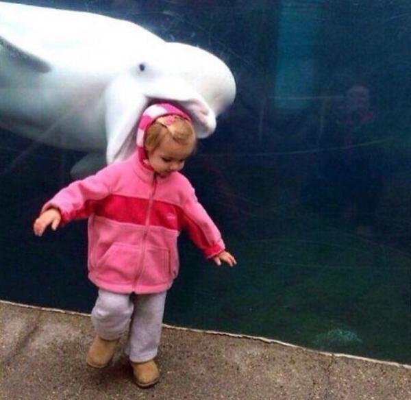 Những khoảnh khắc 'photobomb' đáng yêu hết phần nhân vật chính Những khoảnh khắc 'photobomb' đáng yêu hết phần nhân vật chính
