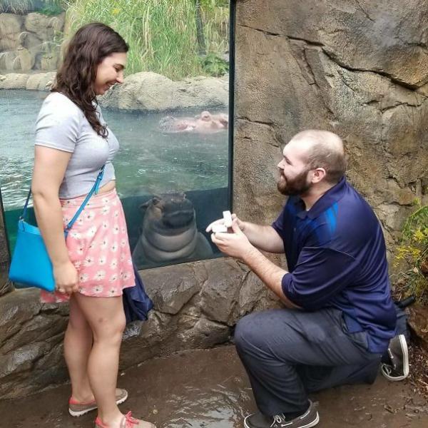 Những khoảnh khắc 'photobomb' đáng yêu hết phần nhân vật chính Những khoảnh khắc 'photobomb' đáng yêu hết phần nhân vật chính
