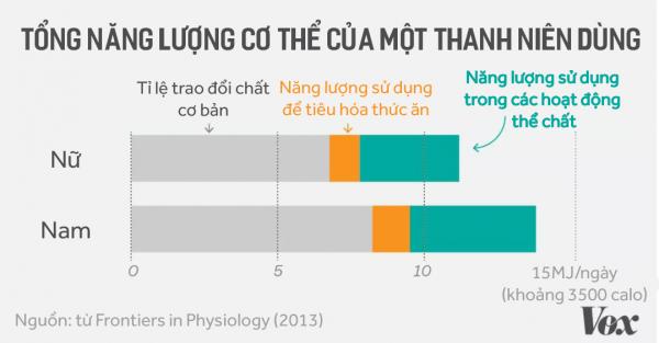 Chỉ tập thể dục mà muốn giảm cân ư? Nhầm to! Chỉ tập thể dục mà muốn giảm cân ư? Nhầm to!