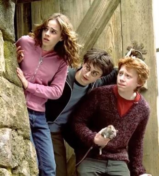 28 năm nhan sắc của 'hoa hồng nước Anh' Emma Watson gói gọn trong những bức ảnh này 28 năm nhan sắc của 'hoa hồng nước Anh' Emma Watson gói gọn trong những bức ảnh này