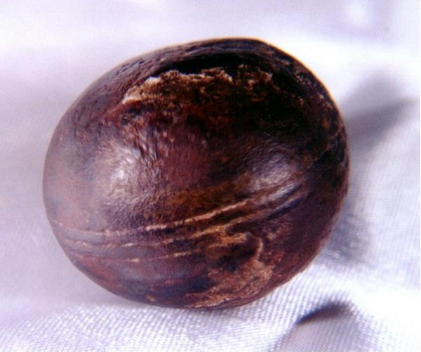 11 địa điểm gắn liền với những truyền thuyết rùng rợn ở Nam Phi 11 địa điểm gắn liền với những truyền thuyết rùng rợn ở Nam Phi