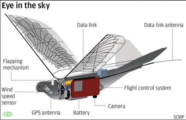 Máy bay drone 'Chim nhìn trộm' được Trung Quốc sử dụng để giám sát người dân Máy bay drone 'Chim nhìn trộm' được Trung Quốc sử dụng để giám sát người dân