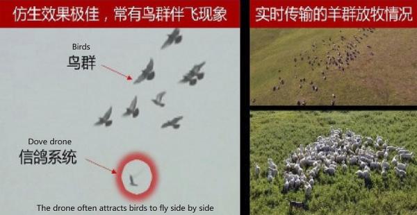 Máy bay drone 'Chim nhìn trộm' được Trung Quốc sử dụng để giám sát người dân Máy bay drone 'Chim nhìn trộm' được Trung Quốc sử dụng để giám sát người dân