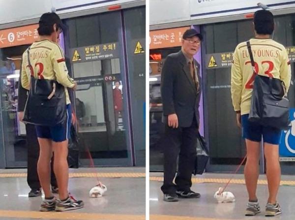 25 giải pháp tuy 'lầy' nhưng lại khiến cuộc sống 'dễ thở' hơn 25 giải pháp tuy 'lầy' nhưng lại khiến cuộc sống 'dễ thở' hơn