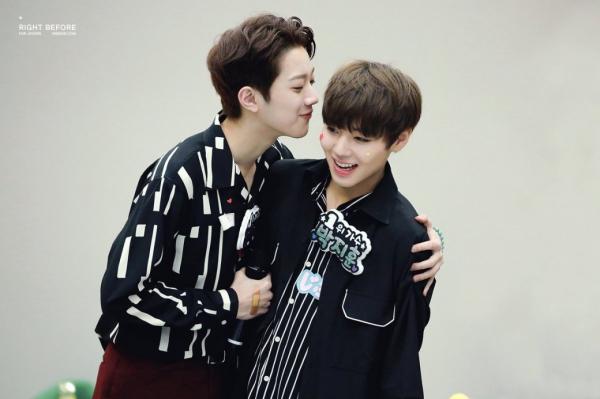 Những khoảnh khắc 'tình như cái bình' của 8 cặp bromance nổi tiếng trong Wanna One Những khoảnh khắc 'tình như cái bình' của 8 cặp bromance nổi tiếng trong Wanna One