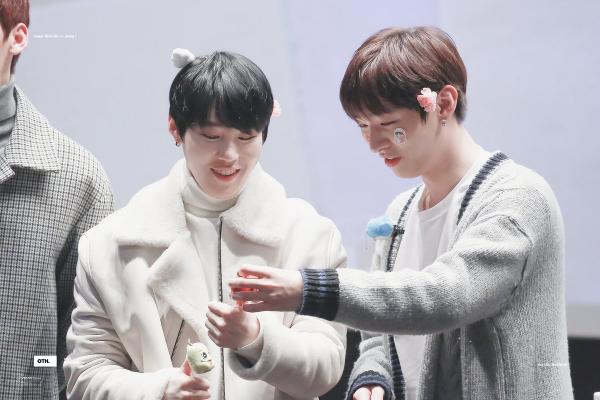 Những khoảnh khắc 'tình như cái bình' của 8 cặp bromance nổi tiếng trong Wanna One Những khoảnh khắc 'tình như cái bình' của 8 cặp bromance nổi tiếng trong Wanna One