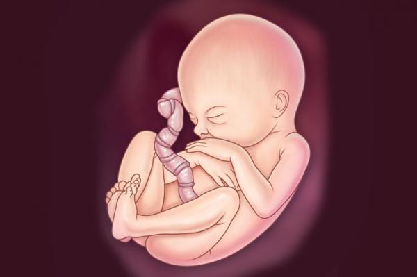 6 câu chuyện về tiền kiếp muốn không tin cũng khó 6 câu chuyện về tiền kiếp muốn không tin cũng khó
