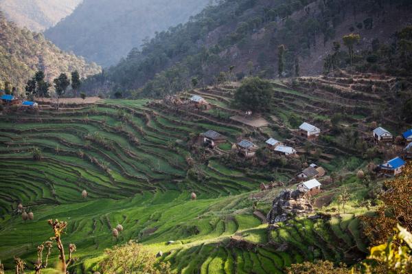 Lều kinh nguyệt - 'Án tử' cho phụ nữ ở Nepal Lều kinh nguyệt - 'Án tử' cho phụ nữ ở Nepal