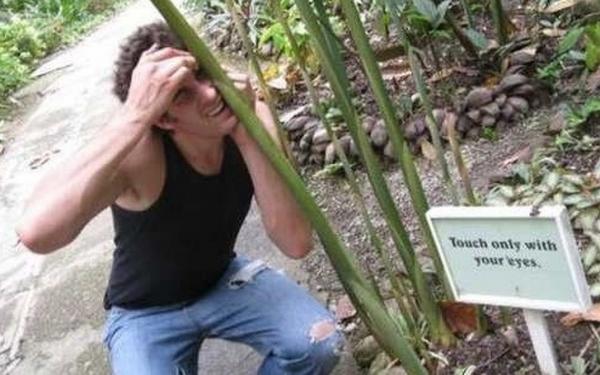 'Cười tuột đường' với loạt hình 'hướng dẫn chỉ sao mình làm vậy' 'Cười tuột đường' với loạt hình 'hướng dẫn chỉ sao mình làm vậy'