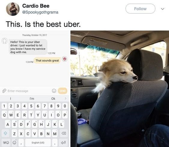 Sẽ ra sao nếu một ngày các loài vật biết sử dụng Uber như con người? Sẽ ra sao nếu một ngày các loài vật biết sử dụng Uber như con người?