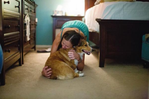 Cảm động chú chó Corgi biết giúp chủ của mình vượt qua cơn sinh nở tại nhà Cảm động chú chó Corgi biết giúp chủ của mình vượt qua cơn sinh nở tại nhà