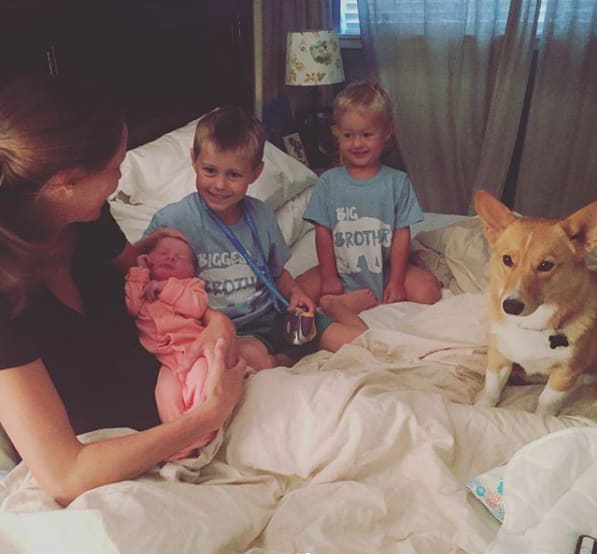 Cảm động chú chó Corgi biết giúp chủ của mình vượt qua cơn sinh nở tại nhà Cảm động chú chó Corgi biết giúp chủ của mình vượt qua cơn sinh nở tại nhà